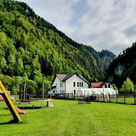 Отель Casa Petruta Dambovicioara Podu Dimbovitei Экстерьер фото