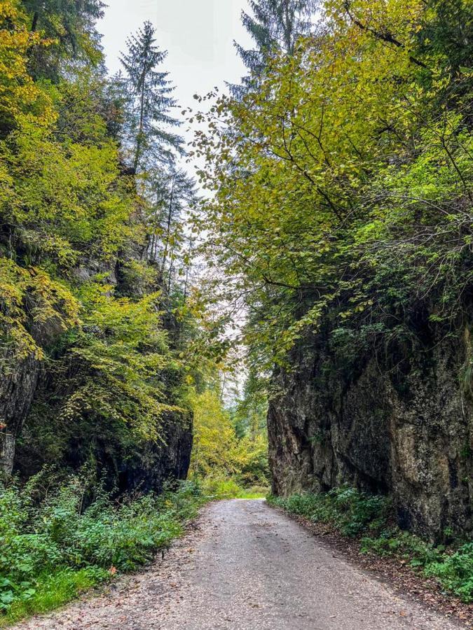 Отель Casa Petruta Dambovicioara Podu Dimbovitei Экстерьер фото