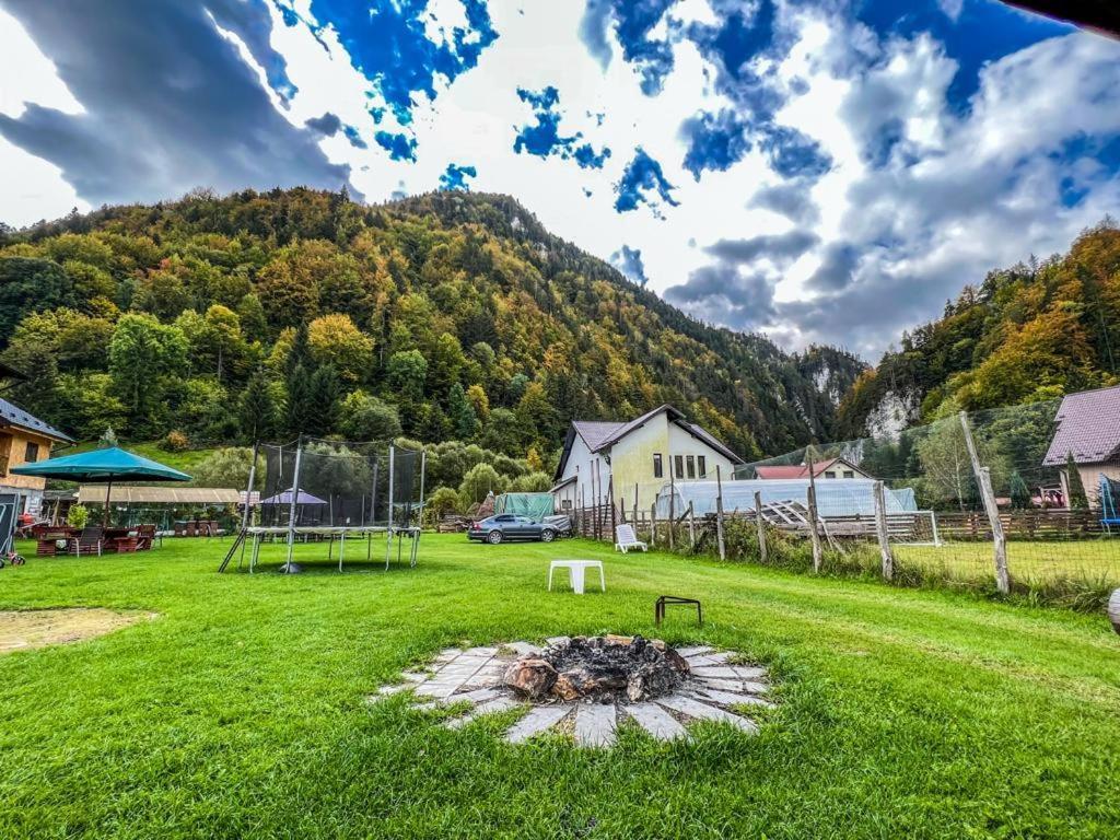 Отель Casa Petruta Dambovicioara Podu Dimbovitei Экстерьер фото