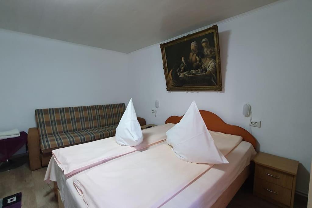 Отель Casa Petruta Dambovicioara Podu Dimbovitei Экстерьер фото