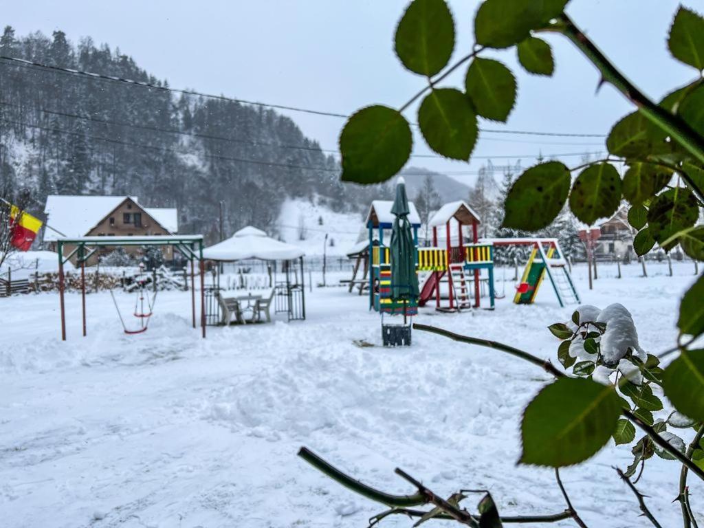 Отель Casa Petruta Dambovicioara Podu Dimbovitei Экстерьер фото