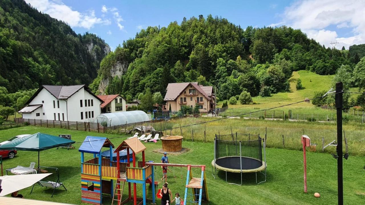Отель Casa Petruta Dambovicioara Podu Dimbovitei Экстерьер фото